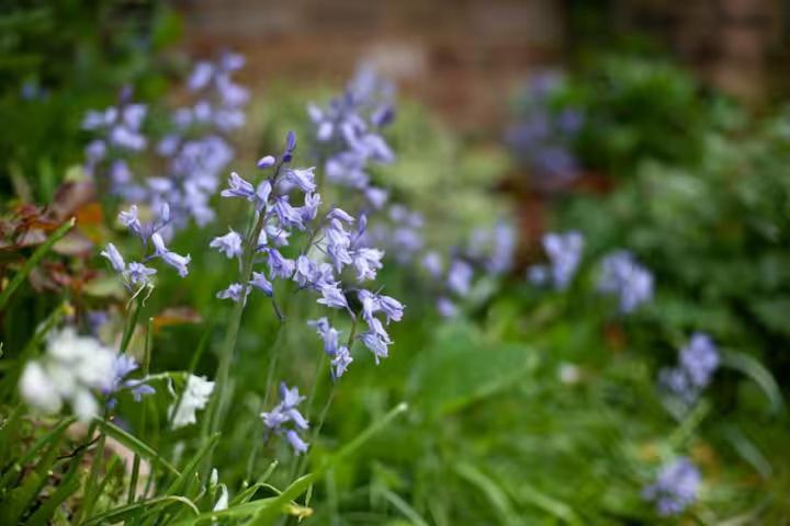 Frühstückspension Self Contained Garden London