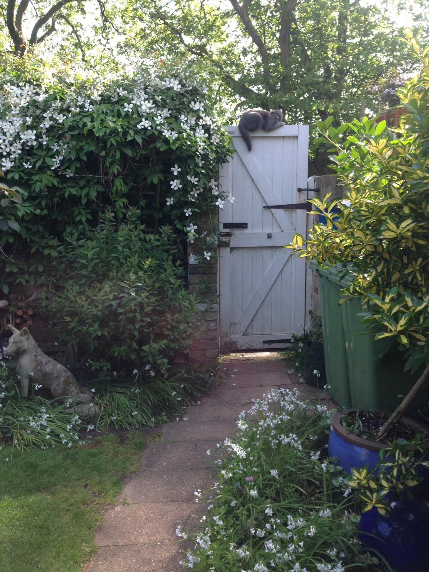Frühstückspension Self Contained Garden *